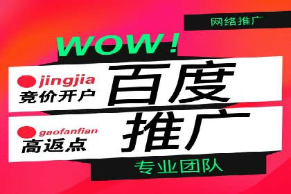 成功运用百度推广代理的五大行业案例
