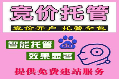 SEM竞价托管实战案例，效果显著